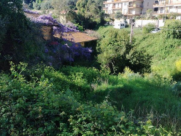 Rustico Bussana, Sanremo, IM Vendita - Foto 4