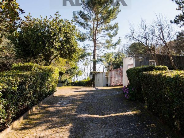 Villa singola Barcaglione, Falconara Marittima, AN Vendita - Foto 3
