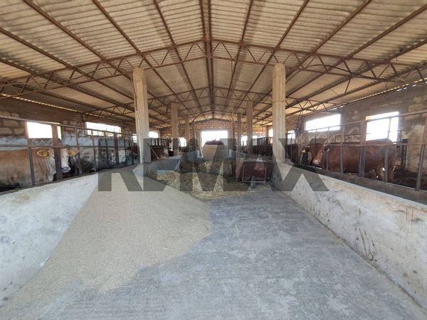 Cascina/Casale Santa Croce Camerina, RG Vendita - Foto 2