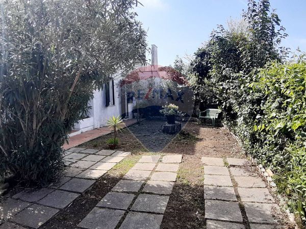 Villa o villino Cerenova, Cerveteri, RM Vendita