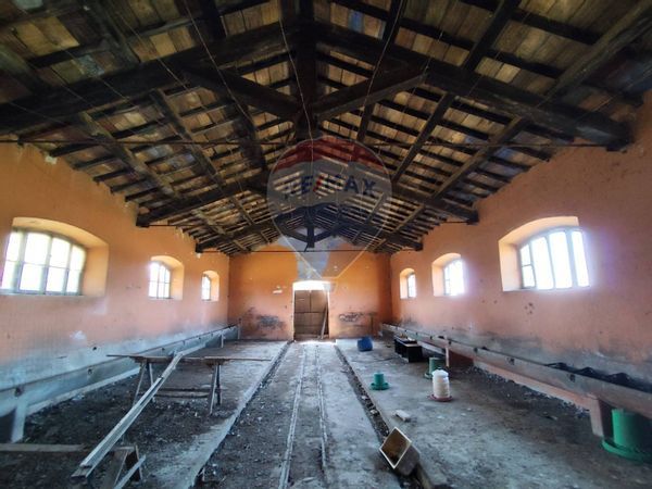 Terreno S. Palomba, Pomezia, RM Vendita - Foto 3