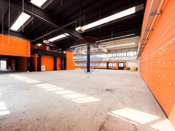 Locale Commerciale Segrate, MI Affitto - Foto 3