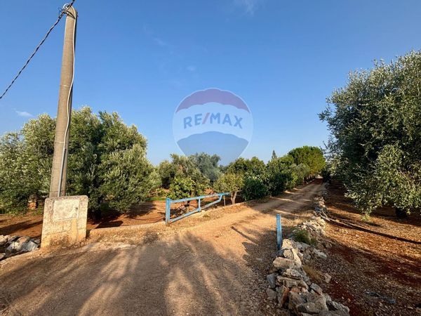 Villa o villino Fasano, BR Vendita - Foto 3