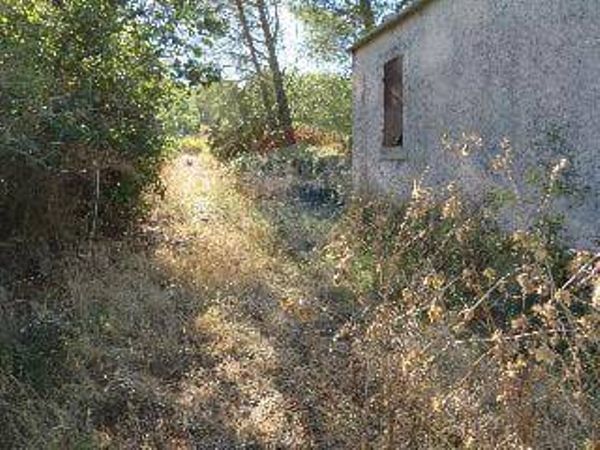 Rustico Vizzini, CT Vendita - Foto 2