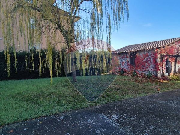 Commerciale Altro San Vito, Flumeri, AV Affitto - Foto 2