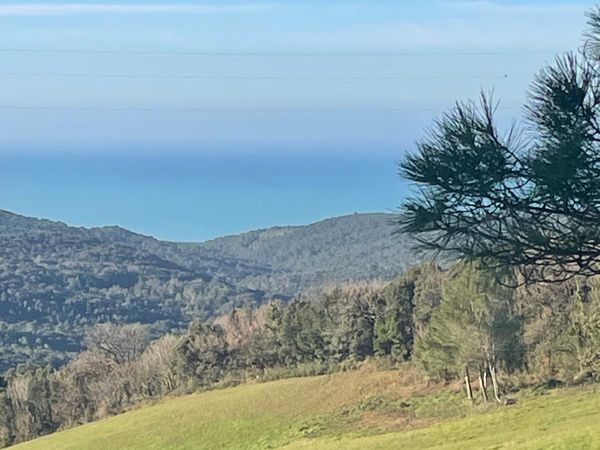 Casa Semindipendente Nibbiaia, Rosignano Marittimo, LI Vendita - Foto 4
