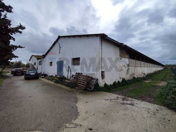 Capannone Industriale Bisceglie, BT Vendita