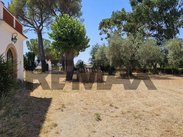 Villa singola Lucera, FG Vendita - Foto 4