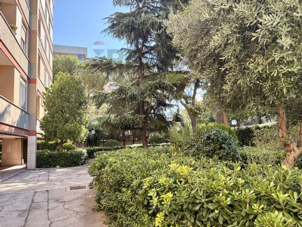Appartamento Poggiofranco, Bari, BA Affitto - Foto 2