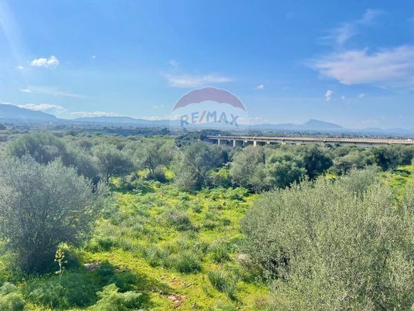 Terreno Edificabile Terrasini, PA Vendita