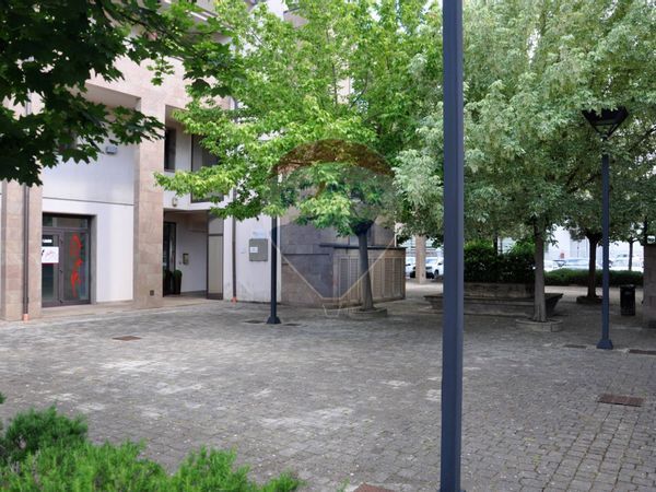 Locale Commerciale Colli Alti, Signa, FI Affitto - Foto 3