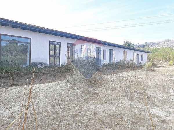 Altro Codrongianos, SS Vendita - Foto 4