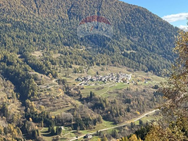 Baita/Chalet/Trullo Comasine, Peio, TN Vendita - Foto 3