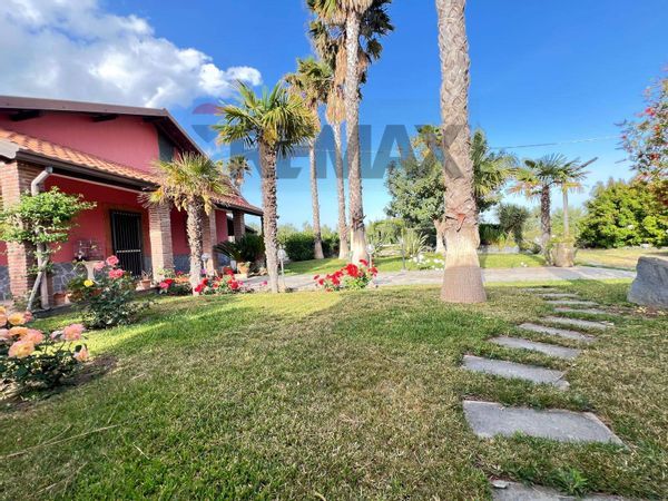 Villa o villino Belpasso, CT Vendita - Foto 3