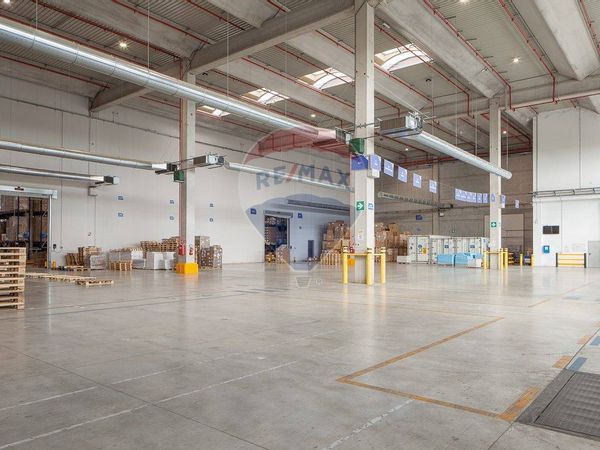 Capannone Industriale Nogarole Rocca, VR Affitto