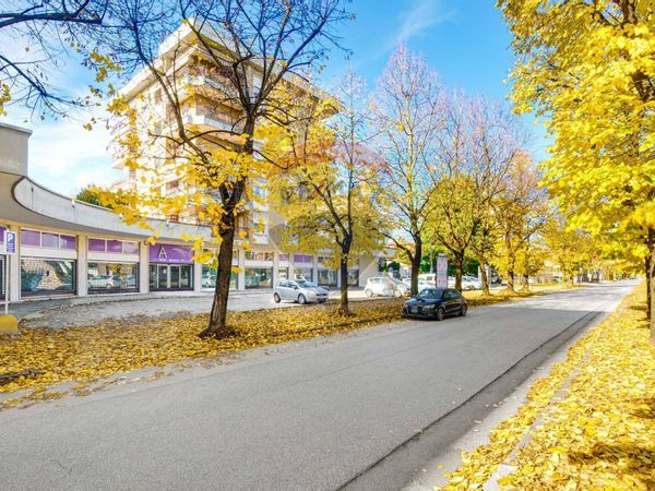 Negozio S. Edoardo, Busto Arsizio, VA Affitto - Foto 4