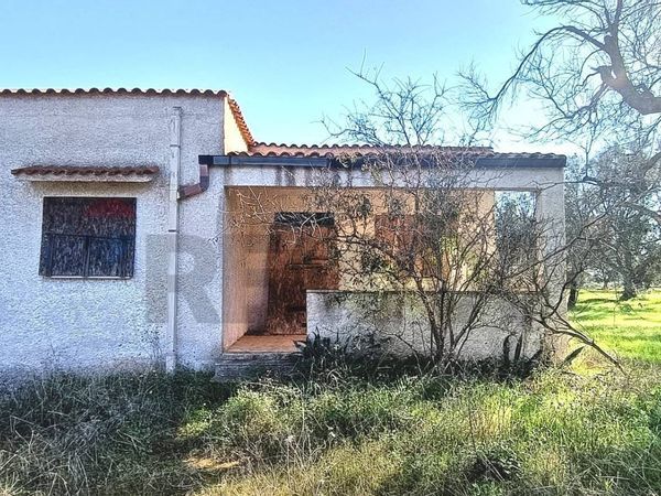 Villa o villino Zona Montenegro, Brindisi, BR Vendita