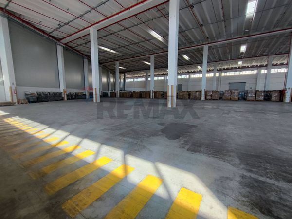 Capannone Industriale Nola, NA Affitto - Foto 3