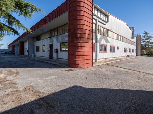 Capannone Industriale Borghetto, Monte San Vito, AN Affitto - Foto 2