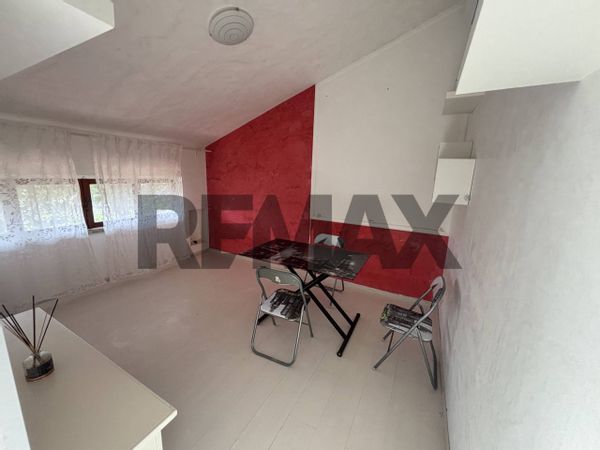 Appartamento Tor San Lorenzo Mare, Ardea, RM Affitto - Foto 4