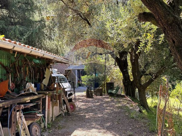 Casa Indipendente San Cipriano, Serra Riccò, GE Vendita - Foto 4