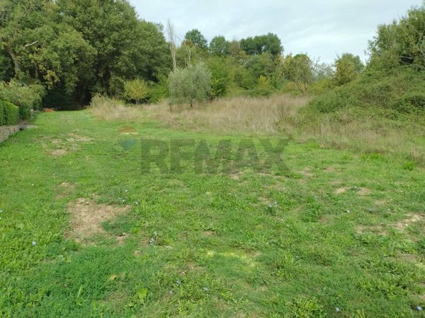 Terreno Chiantigiana, Montevarchi, AR Affitto - Foto 4