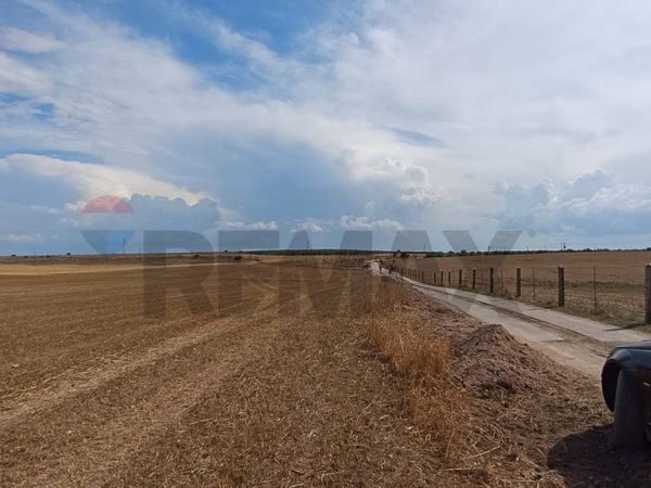 Terreno San Giovanni Rotondo, FG Vendita - Foto 4