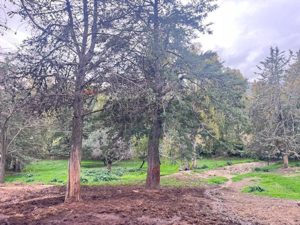 Casa Indipendente Cerveteri, RM Vendita - Foto 4