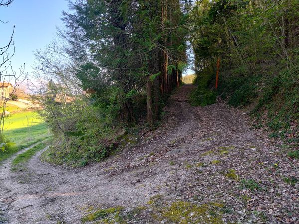 Cascina/Casale Gubbio, PG Vendita - Foto 3