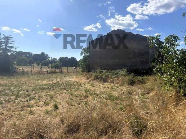 Villa singola Mazzano Romano, RM Vendita - Foto 2