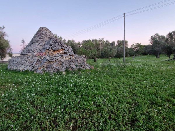 Baita/Chalet/Trullo Ceglie Messapica, BR Vendita - Foto 2