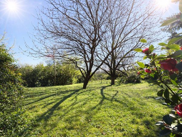 Casa Indipendente Borgo Ticino, NO Vendita - Foto 4