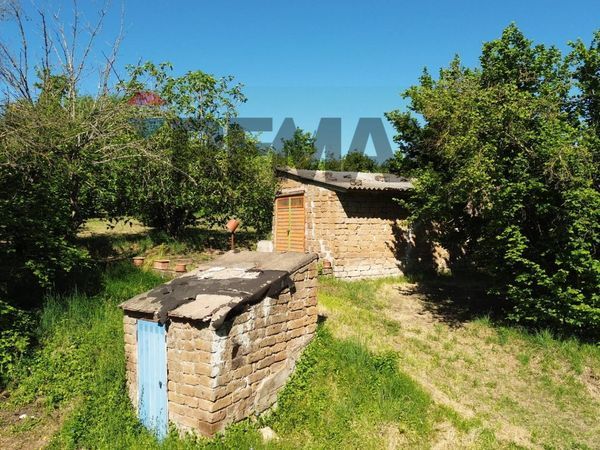 Terreno Vasanello, VT Vendita - Foto 3