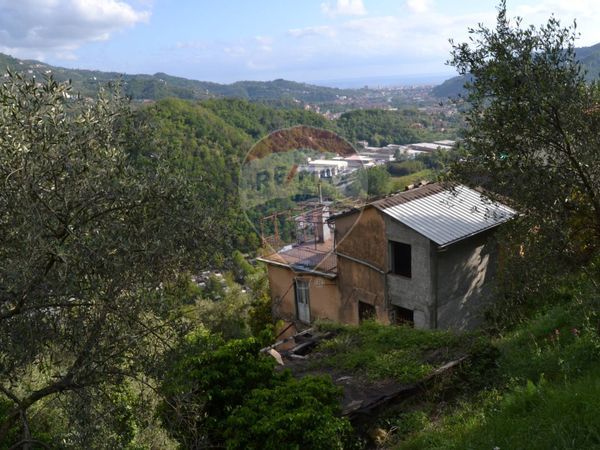 Rustico Paggi, Carasco, GE Vendita - Foto 4