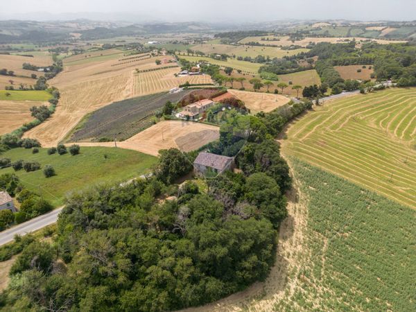 Casa Indipendente Osimo, AN Vendita - Foto 3