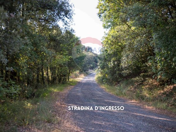 Rustico Roccatederighi, Roccastrada, GR Vendita - Foto 4