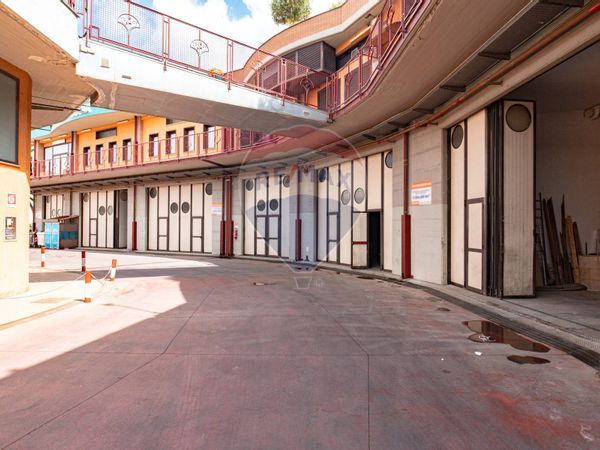 Locale Commerciale San Giovanni la Punta, CT Affitto