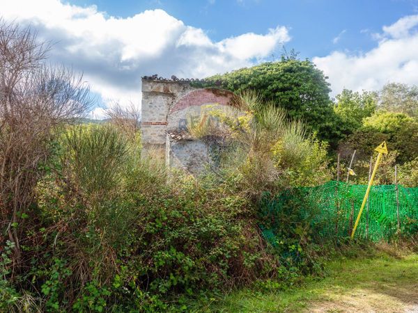 Rustico Bagni San Filippo, Castiglione d'Orcia, SI Vendita - Foto 3