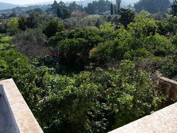 Casa Indipendente Bonagia, Valderice, TP Vendita - Foto 4