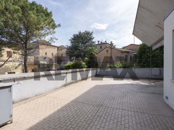 Appartamento Belvedere Ostrense, AN Vendita