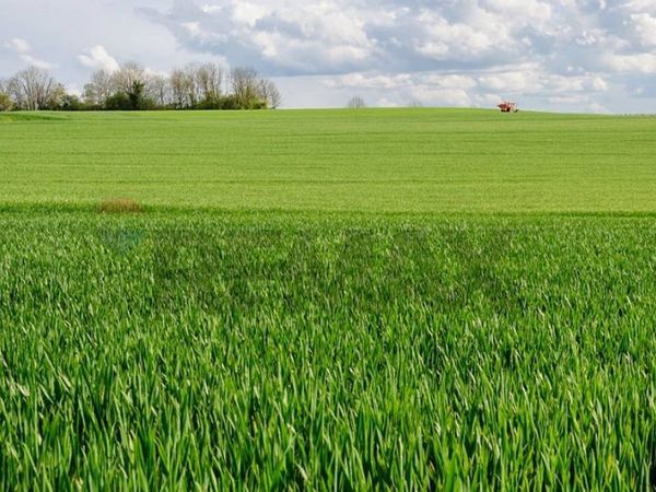 Terreno Edificabile Riesi, CL Vendita - Foto 4