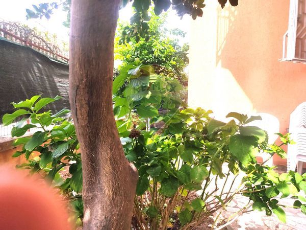 Appartamento Casagiove, CE Vendita - Foto 4