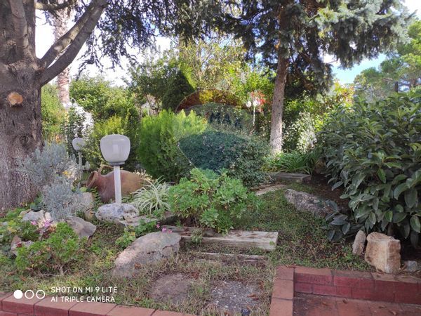 Villa singola Cassano delle Murge, BA Vendita - Foto 4