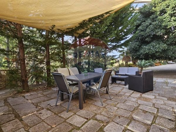 Attività  Commerciale Cefalù, PA Vendita