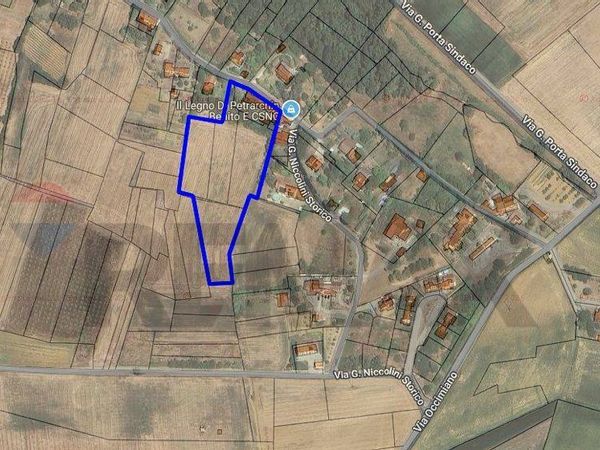 Cascina/Casale Conzano, AL Vendita - Foto 4