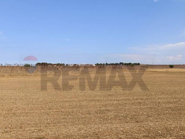 Terreno San Giovanni Rotondo, FG Vendita - Foto 3