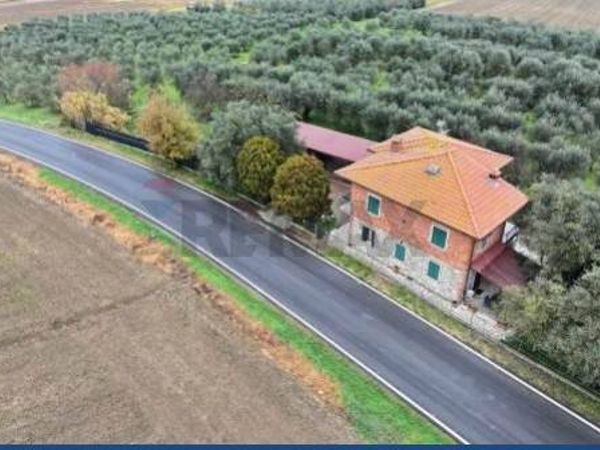 Casa Indipendente Sanfatucchio, Castiglione del Lago, PG Vendita - Foto 2