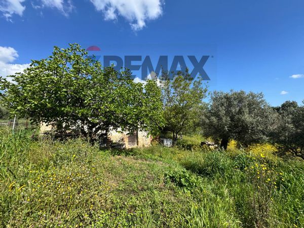 Rustico Mozzagrogna, CH Vendita - Foto 2