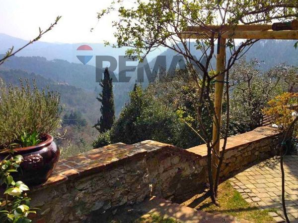 Casa Semindipendente Camaiore, LU Vendita - Foto 2