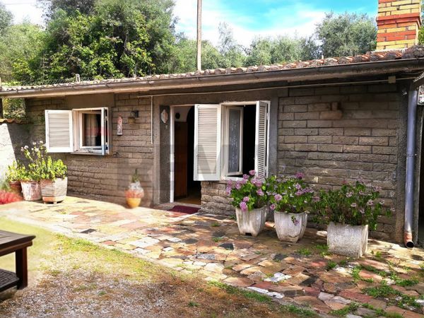 Casa Indipendente San Martino al Cimino, Viterbo, VT Vendita